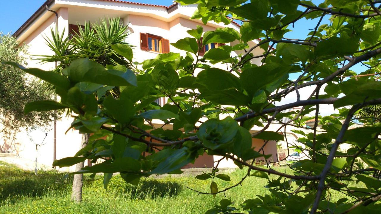 Borgo Marinaro Bed & Breakfast Marina di Camerota Dış mekan fotoğraf