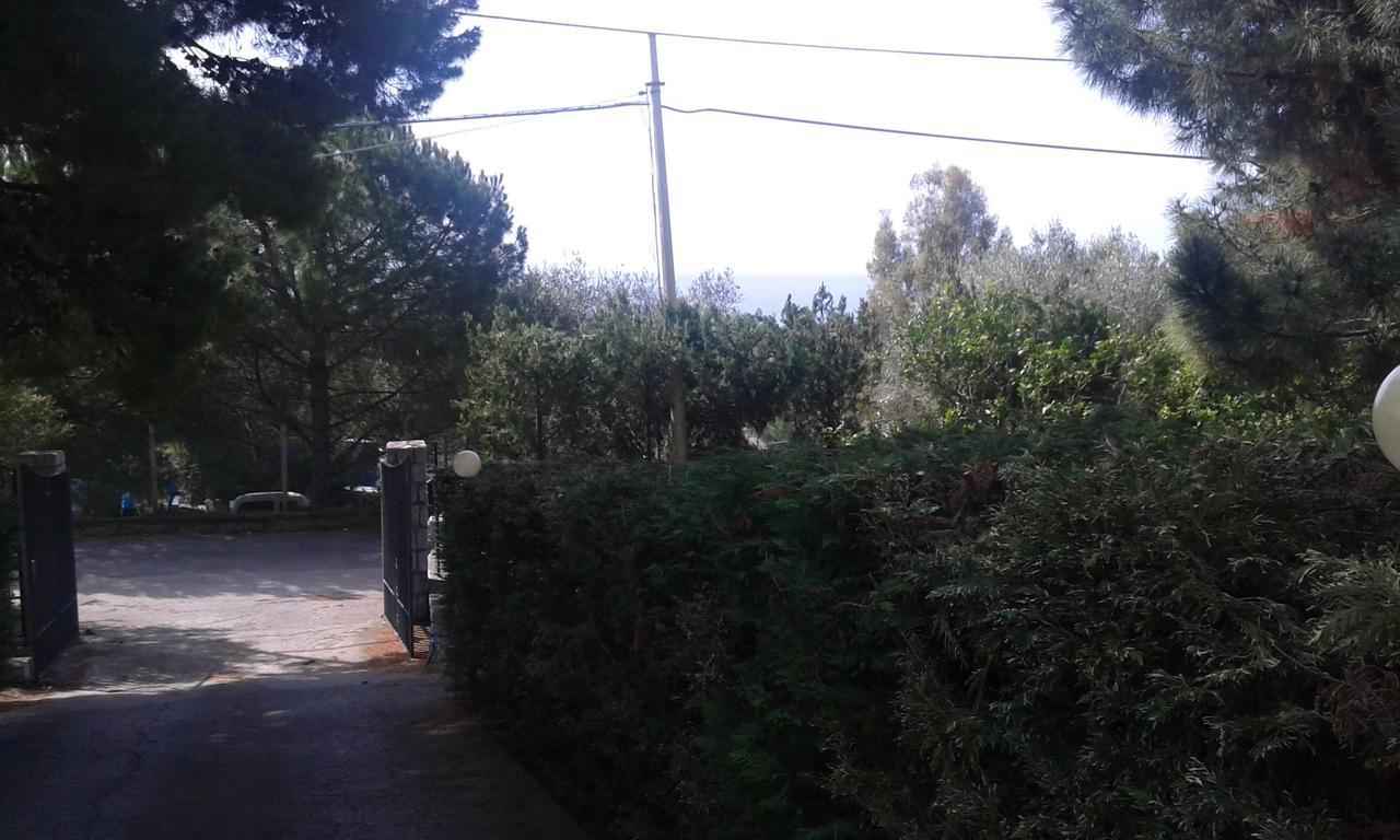 Borgo Marinaro Bed & Breakfast Marina di Camerota Dış mekan fotoğraf